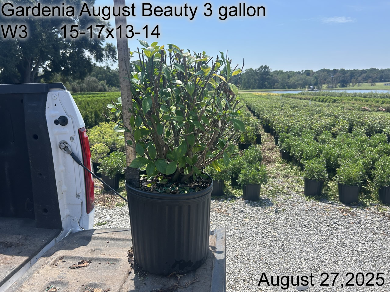 gallery/gab3 w3 aug25.jpg